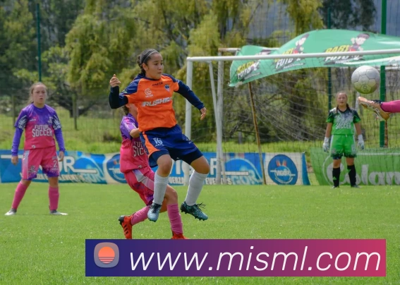 爱体育电子官网首页APP 高清赛事图